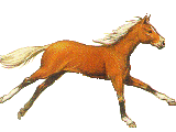 dindt_s7zow_ocq2h_cheval-117_iil.gif