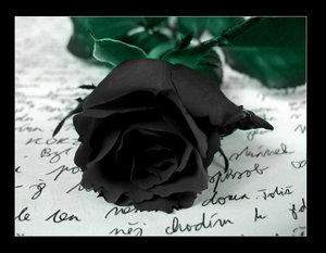 *Roses noires...*