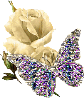 rose - papillon